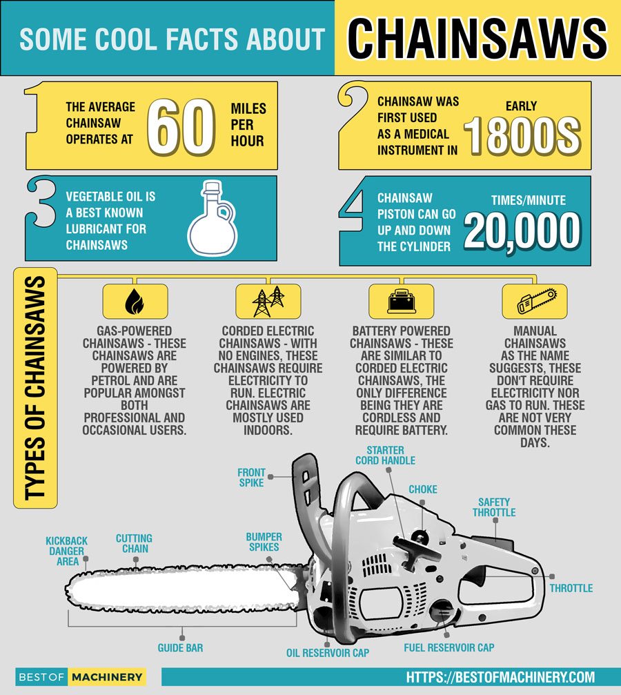 Chainsaw Infographic with Cool Facts and Information
