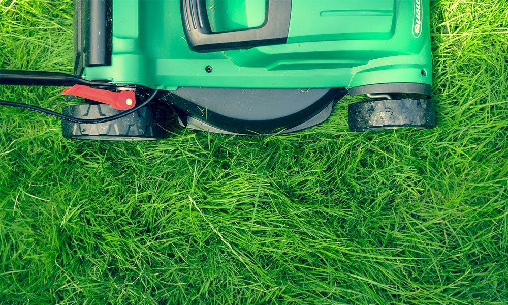 Are Electric Lawn Mowers worth the Money?