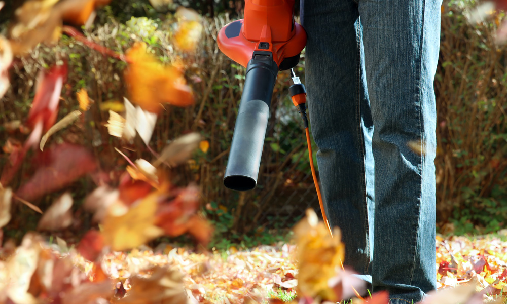 Close-up of an electric leaf blower