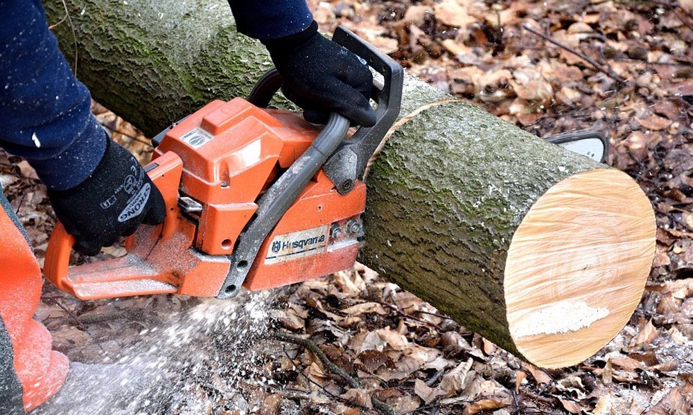 Chainsaw cutting through a tree trunk