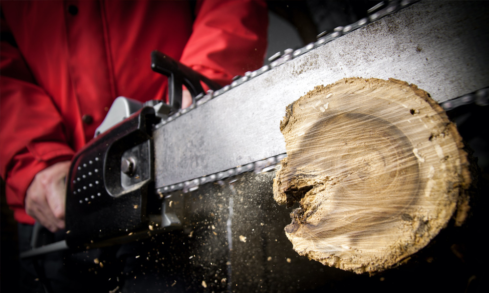 Chainsaw cutting through wood