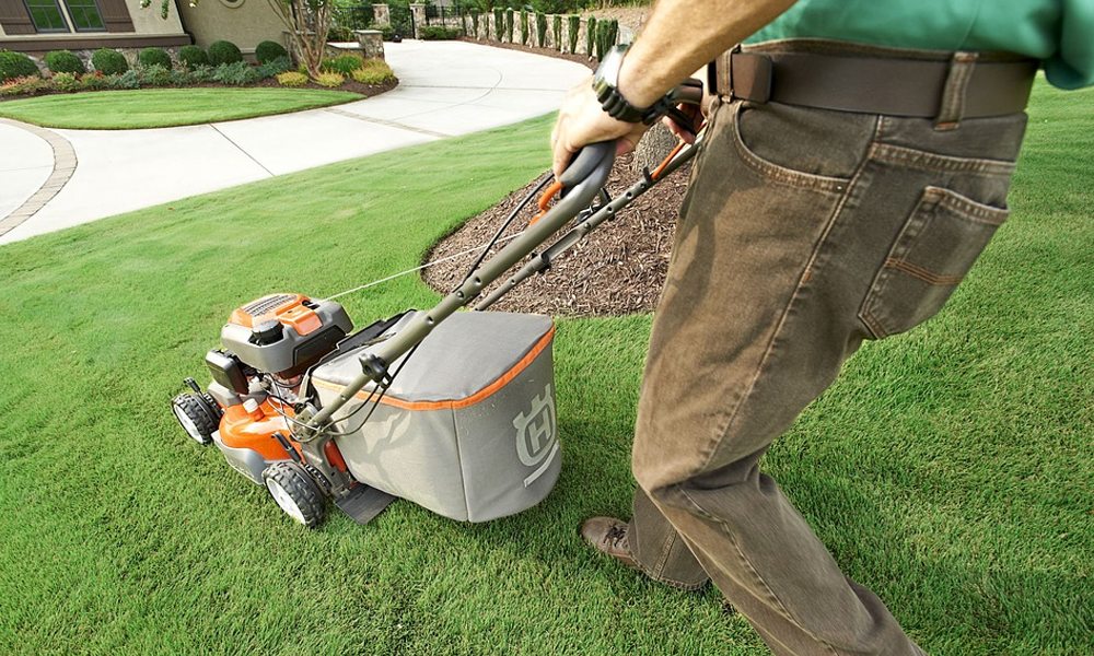 What different types of Lawn Mower are there?