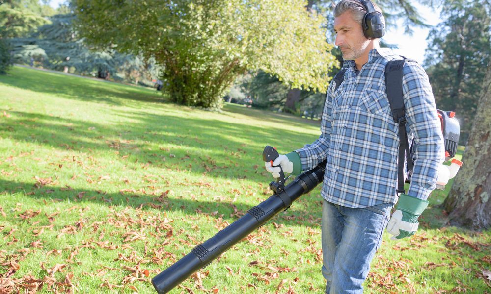 10 Individual Backpack Leaf Blowers Review.