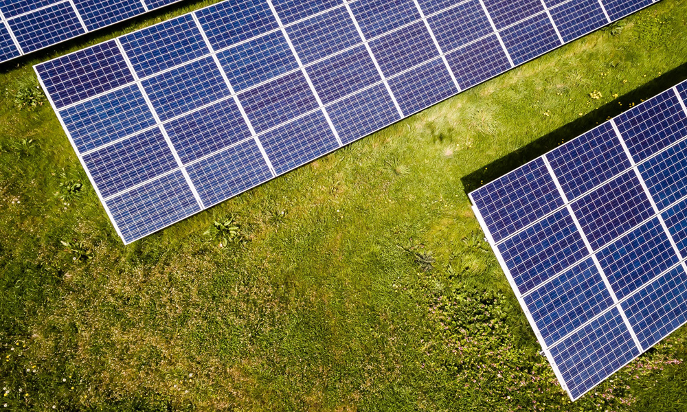 solar panels on green grass