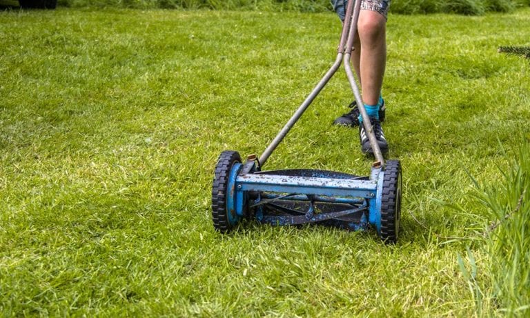 10-best-reel-mowers-2023-reviews-bestofmachinery