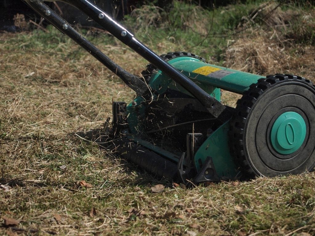 reel mower cutting grass