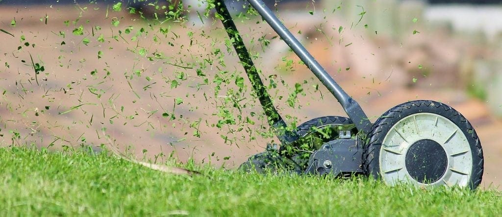 reel mower cutting grass