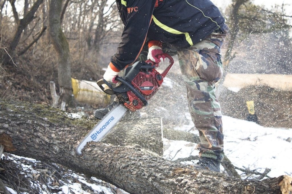 chainsaw cutting through a tree with saw dust going everywhere.
