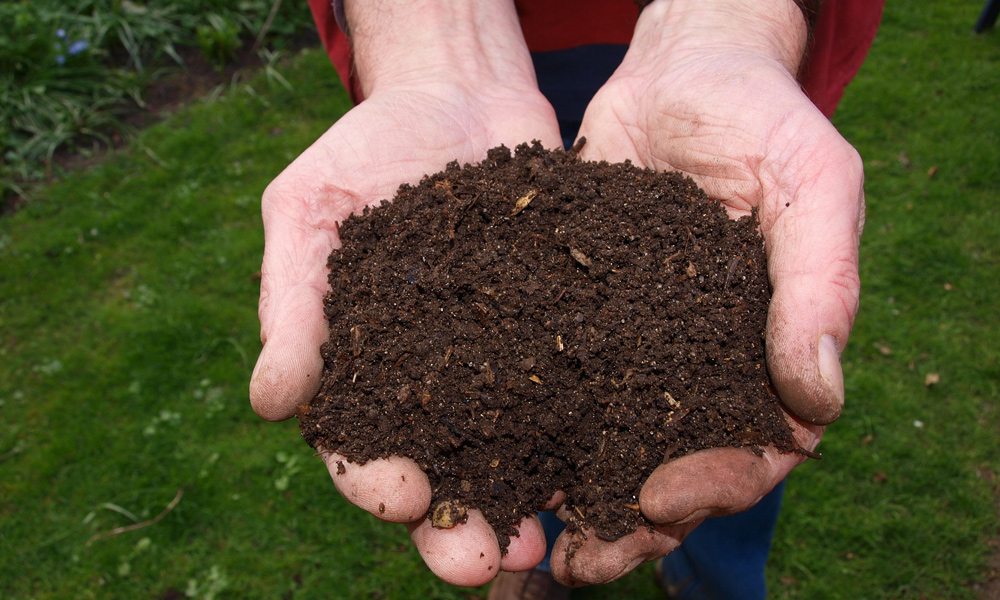 compost-bin-soil