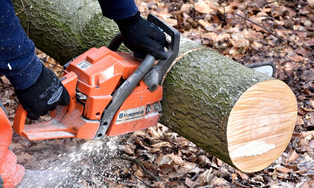 chainsaw-image-3