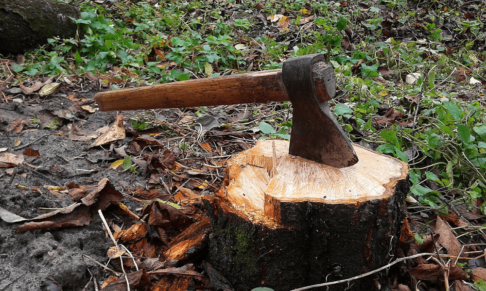 Axe chopped into a log 