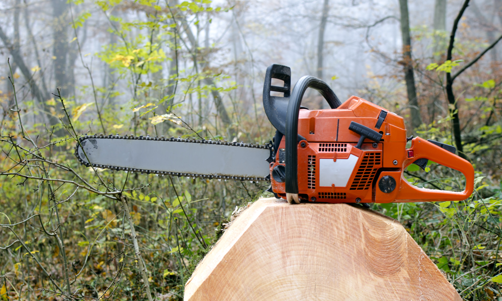 Chainsaw resting on a log