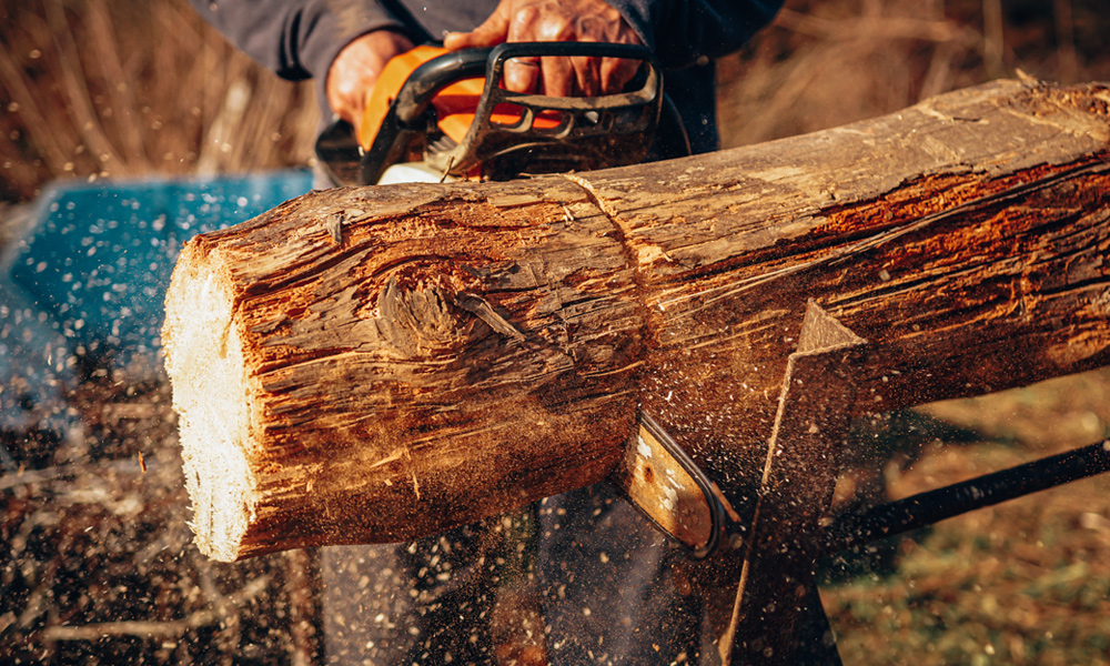 chainsaw cutting through a log