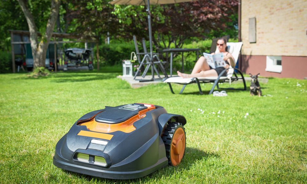 Robot lawn mower cutting the lawn