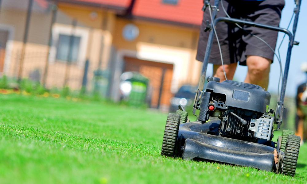 Best Lawn Mower For Small Yards