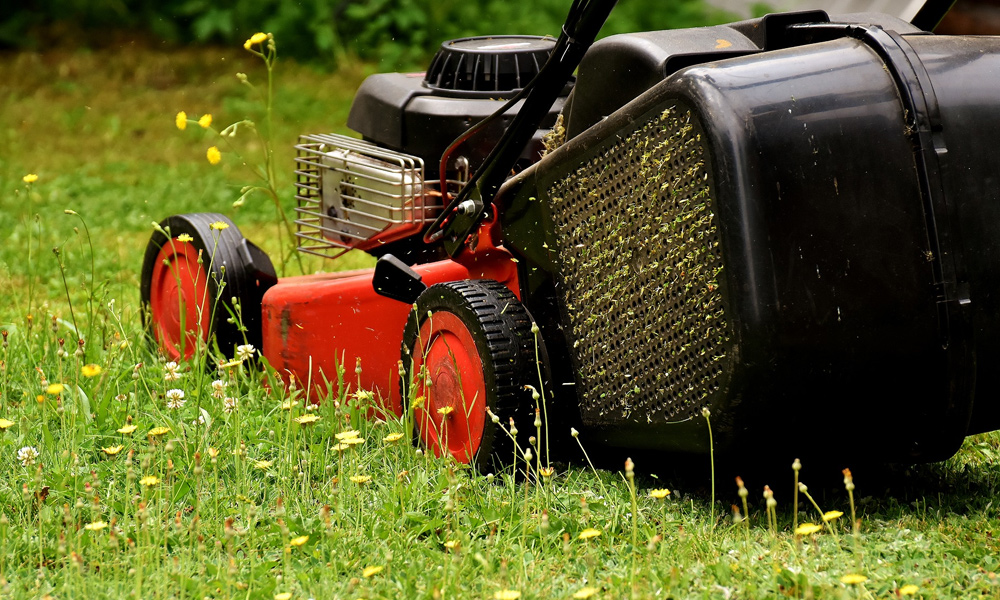 red and black lawn mower in long grass