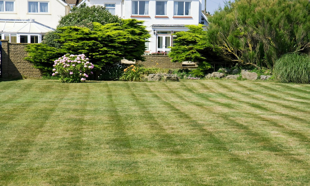 rear garden with lawn mower stripes in the grass