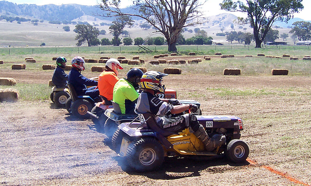 Racing lawn mowers in a line