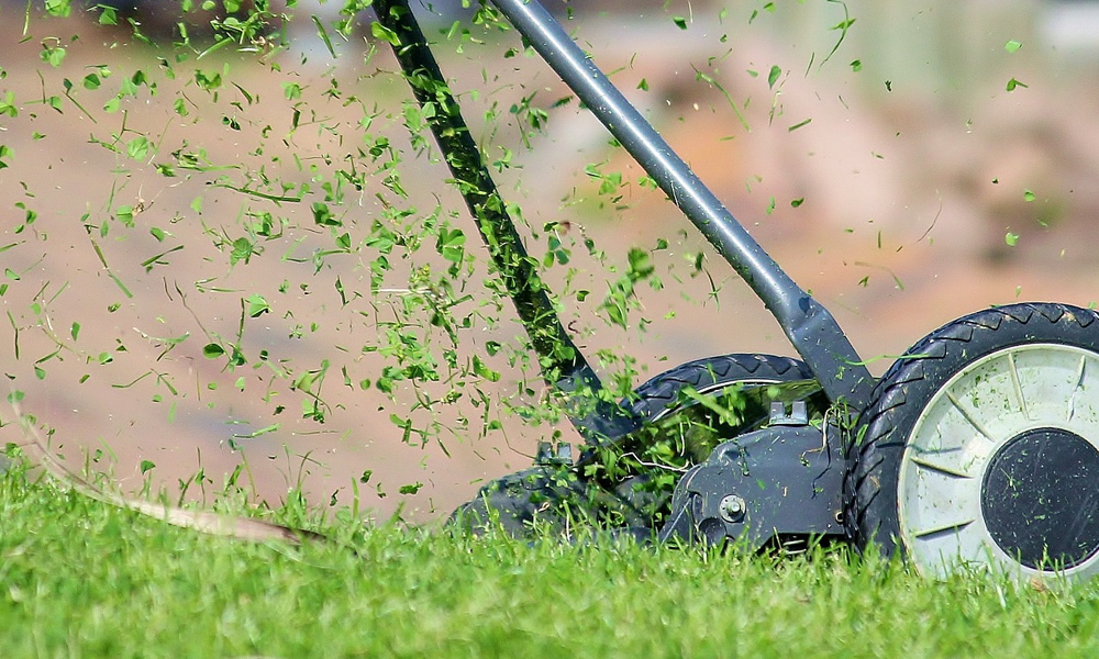 reel mower cutting through grass