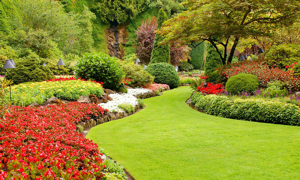 bright colorful garden with red and white flowers
