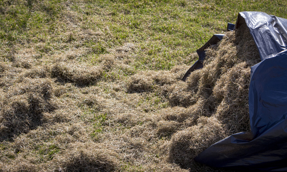 dry out grass clippings