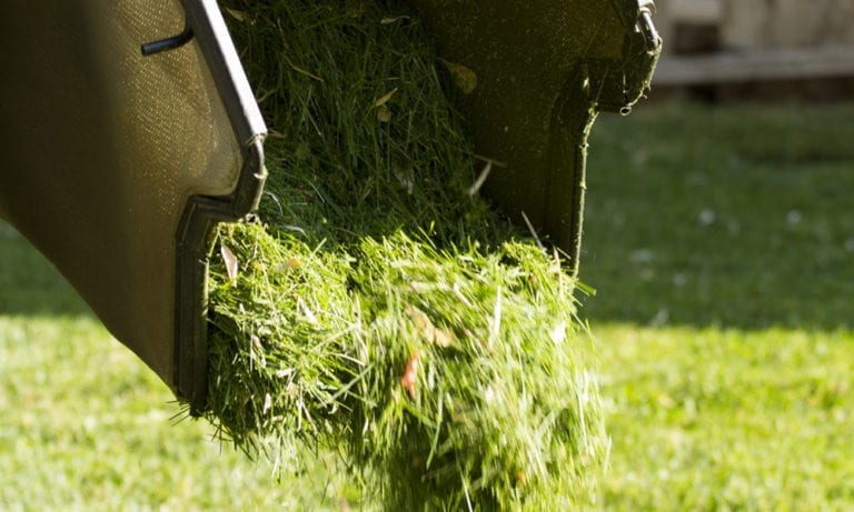 should you leave grass clippings on the lawn