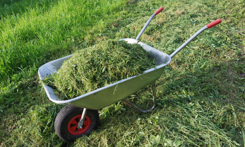 wheelbarrow full of grass