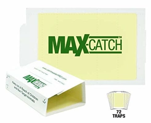 Catchmaster AA1170 72MAX Pest Trap