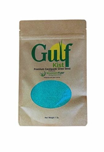 Gulf Kist Seed Centipede Grass Seed Mix