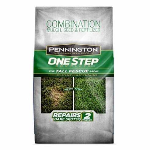 Pennington 100522284 Repair Grass Seed