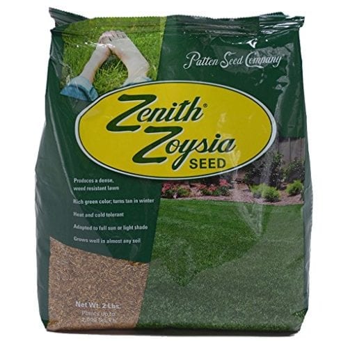 Zenith Zoysia Grass Seed