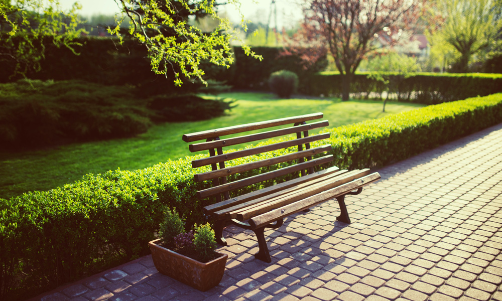 a park bench with a small hedge behind it