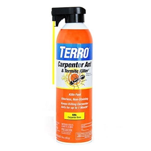 Terro Carpenter Ant & Termite Killer
