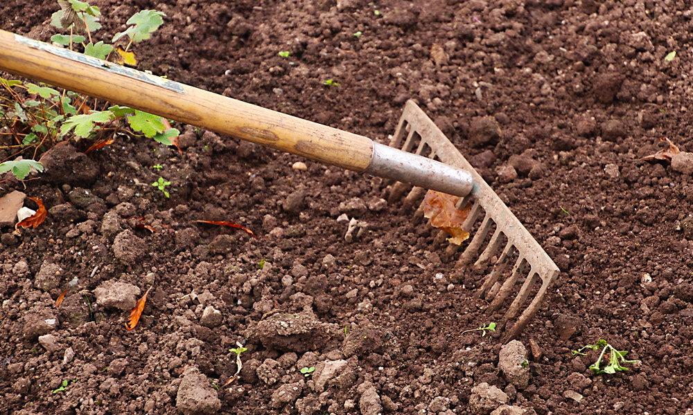 a rake in soil