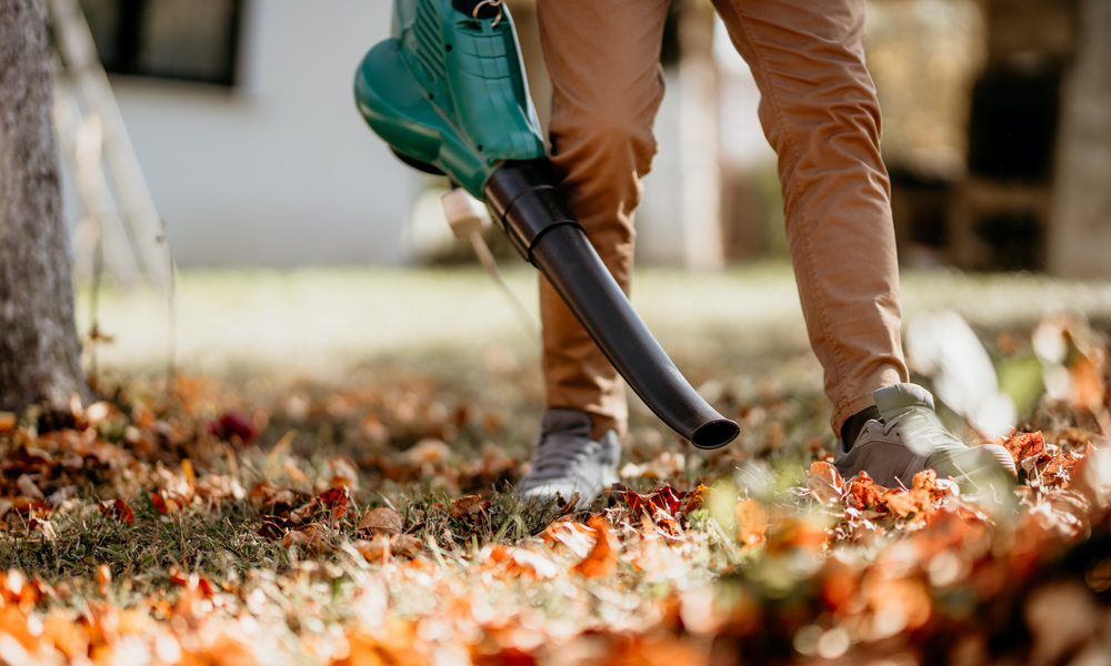 a leaf blower blowing leaves of a lawn