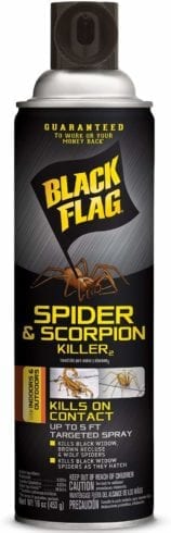 Black Flag Spider & Scorpion Killer