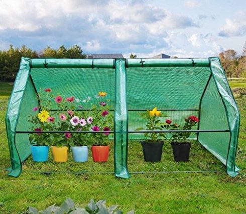 Quictent Portable Cloche Mini Greenhouse