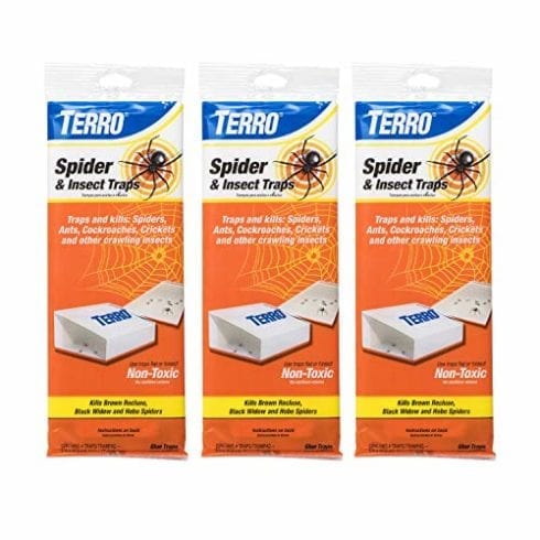Terro T3206SR 3-Pack Spider & Insect Trap