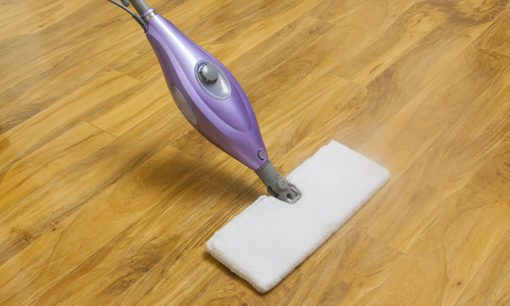 10 Best Steam Mops [ 2021 ] BestOfMachinery