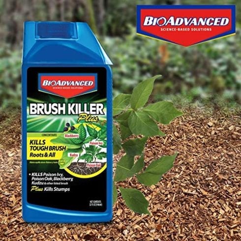 BioAdvanced 704640B 704640 Brush Killer