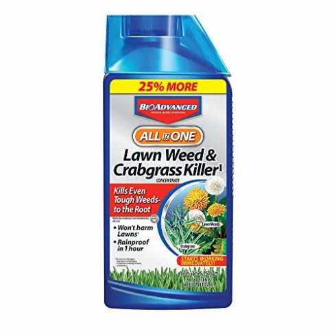 BioAdvanced All-in-One Lawn Weed and Crabgrass Killer