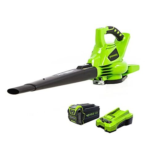 Greenworks 24322 Cordless Leaf Blower/Vacuum