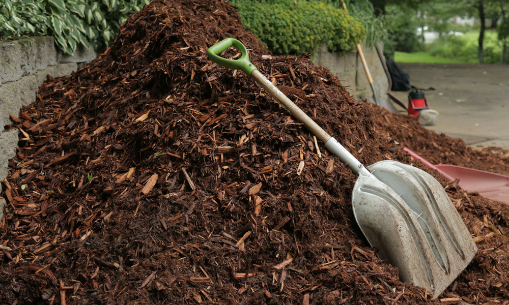 shovel laying on a pile of mulch