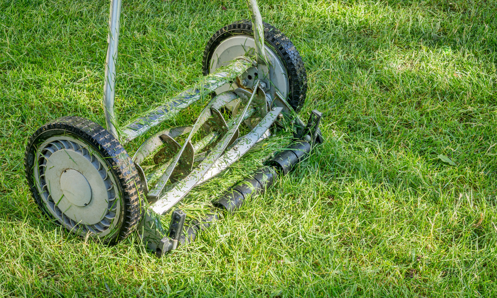 Reel mower sitting on a green grass