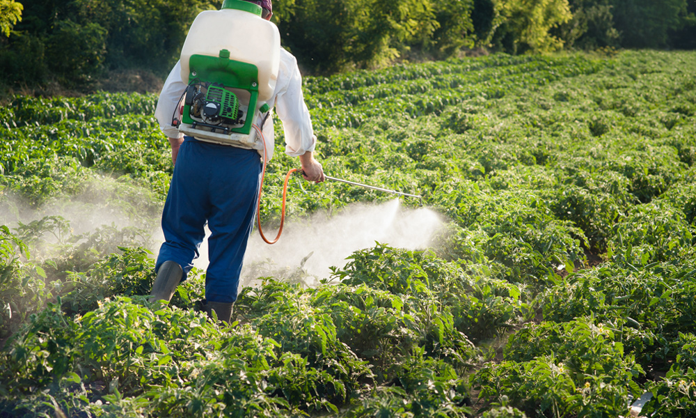 a person using a backpack garden sprayer on plants