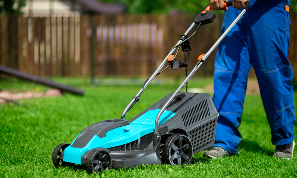 Blue electric lawn mower on grass