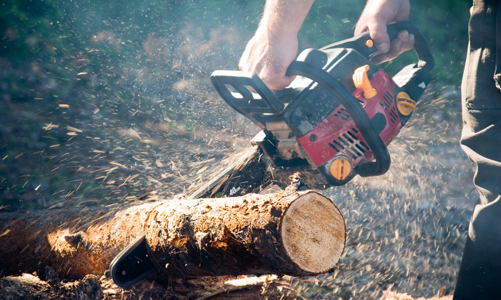 Chainsaw cutting through wood