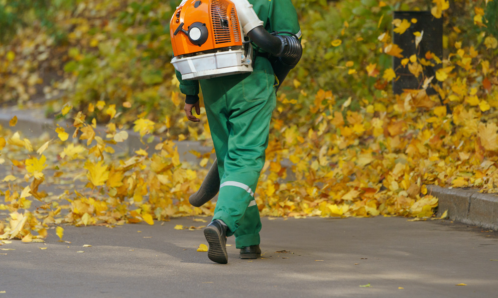 Workman using a backpack leaf blower