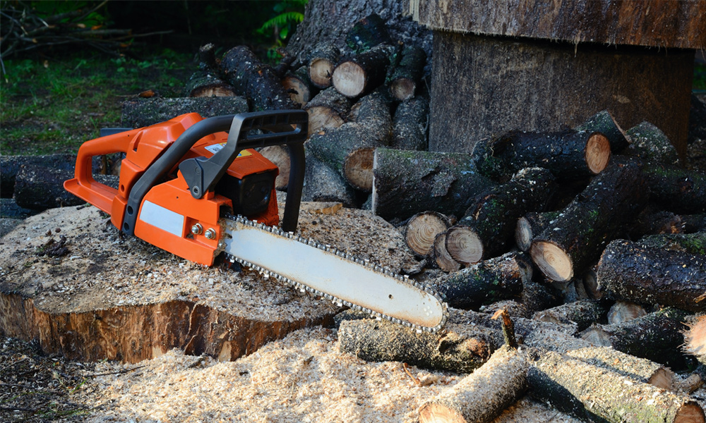 chainsaw with wood dust all around it.