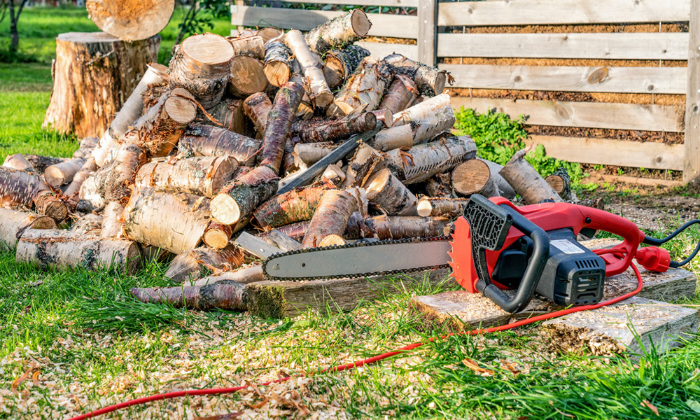 Red electric chainsaw with tree logs in the background